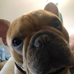 Meet your Posher, Jo ellen